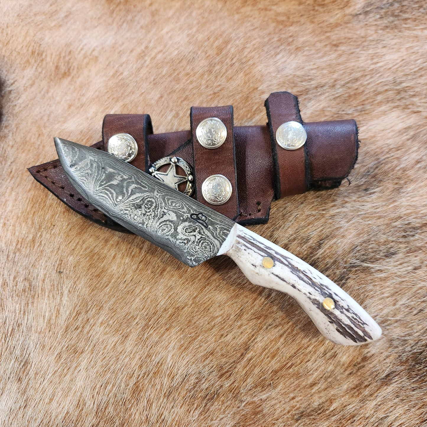 Bandit Compact Damascus