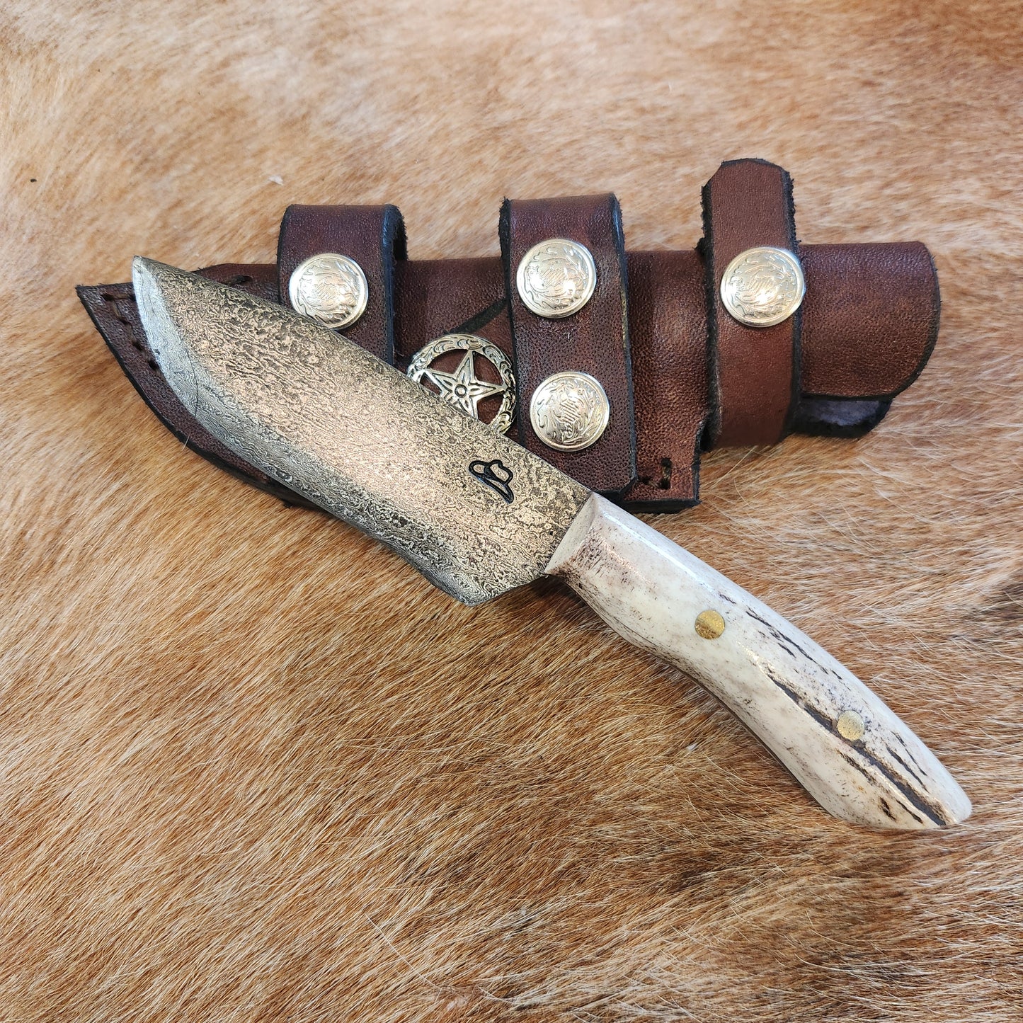 Bandit Compact Damascus