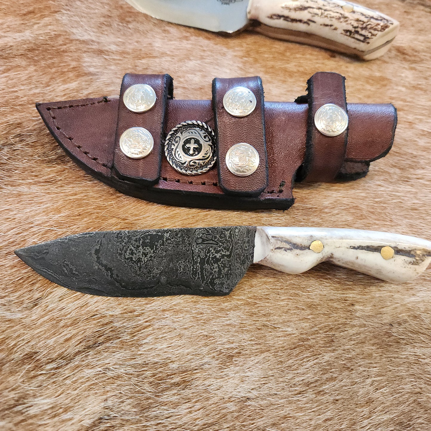 Bandit Compact Damascus