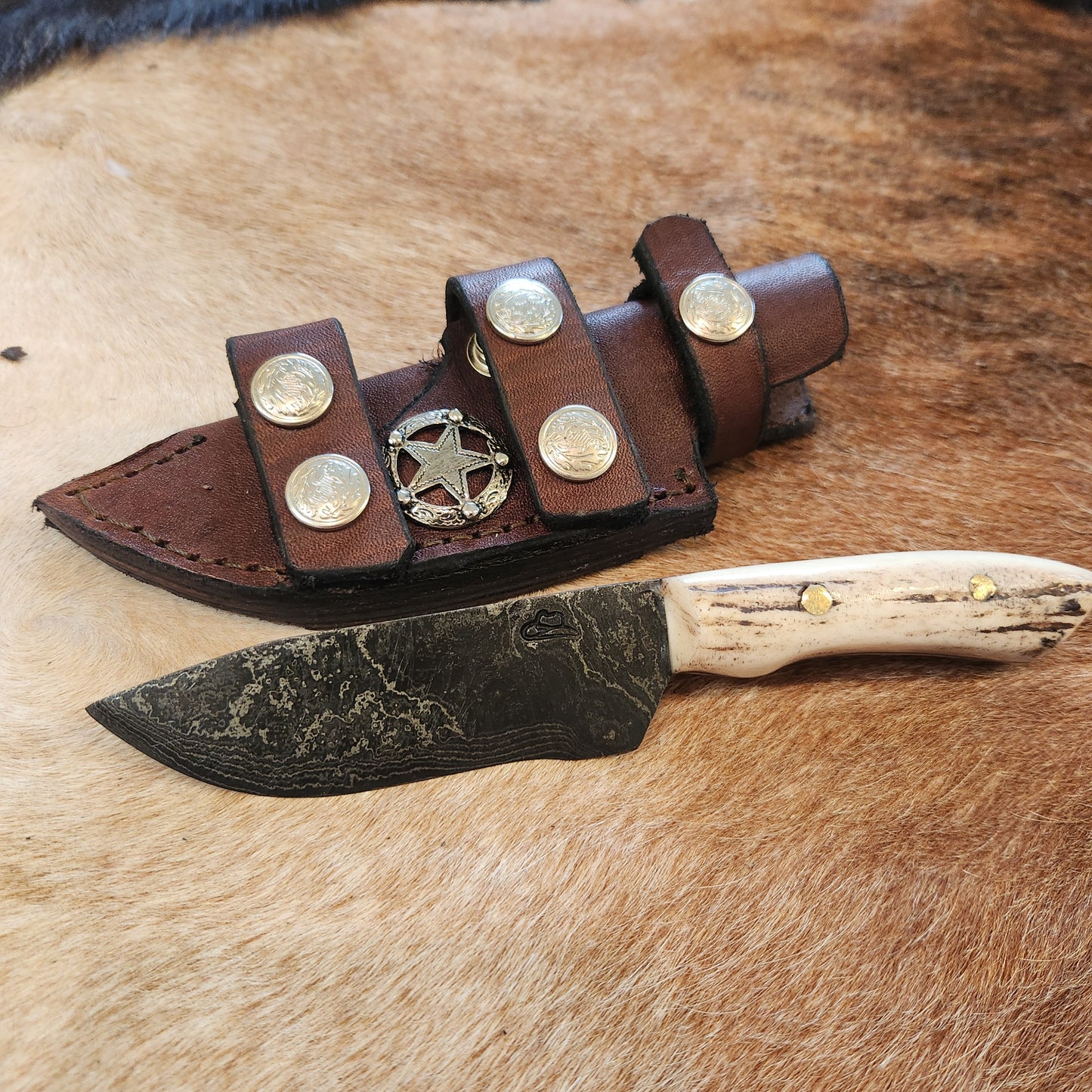 Bandit Compact Damascus