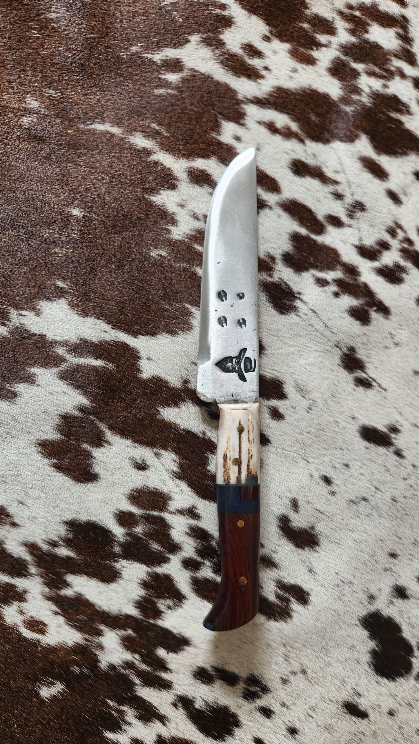 2025 Bandit 6pc Steak Set