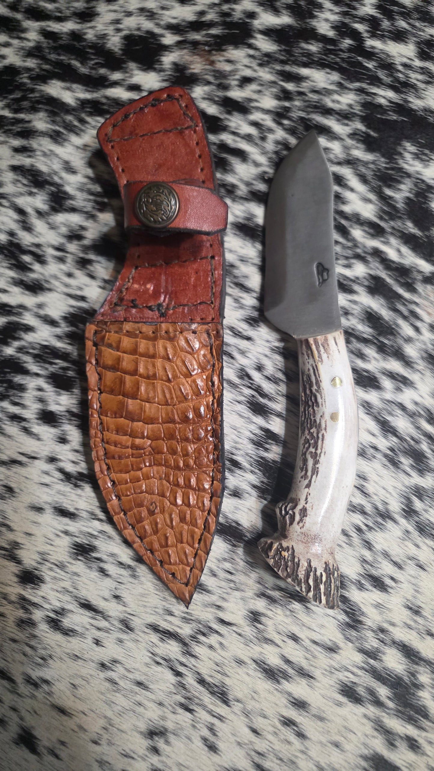 Bandit Colt
