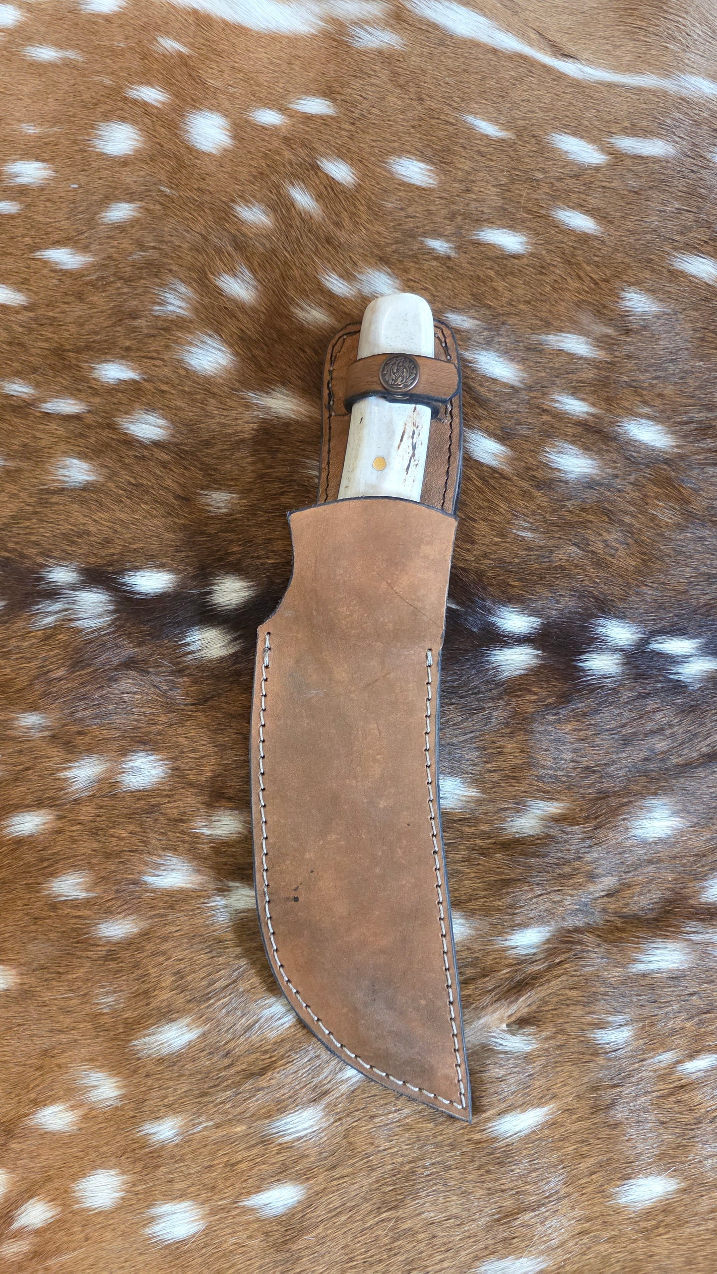 Traditional Skinner deer antler