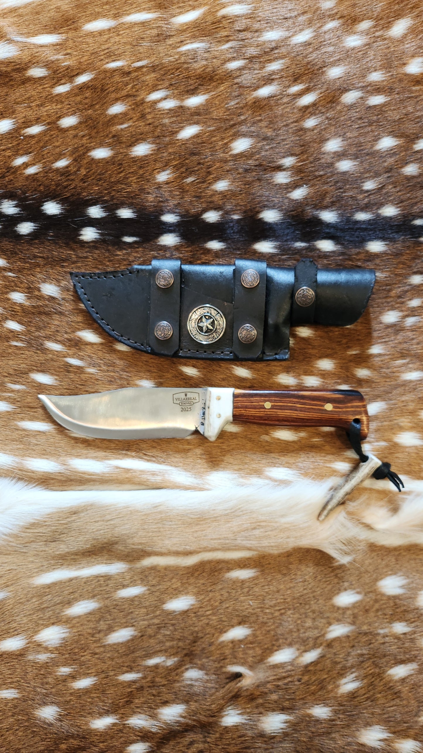 Texas Ranger Stainless
