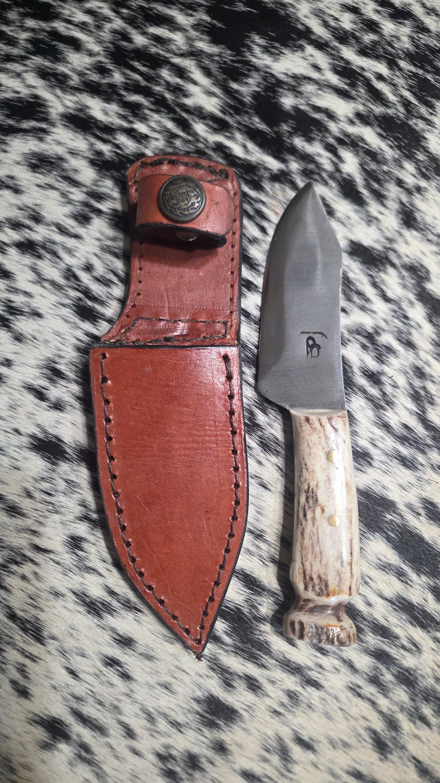 Bandit Colt