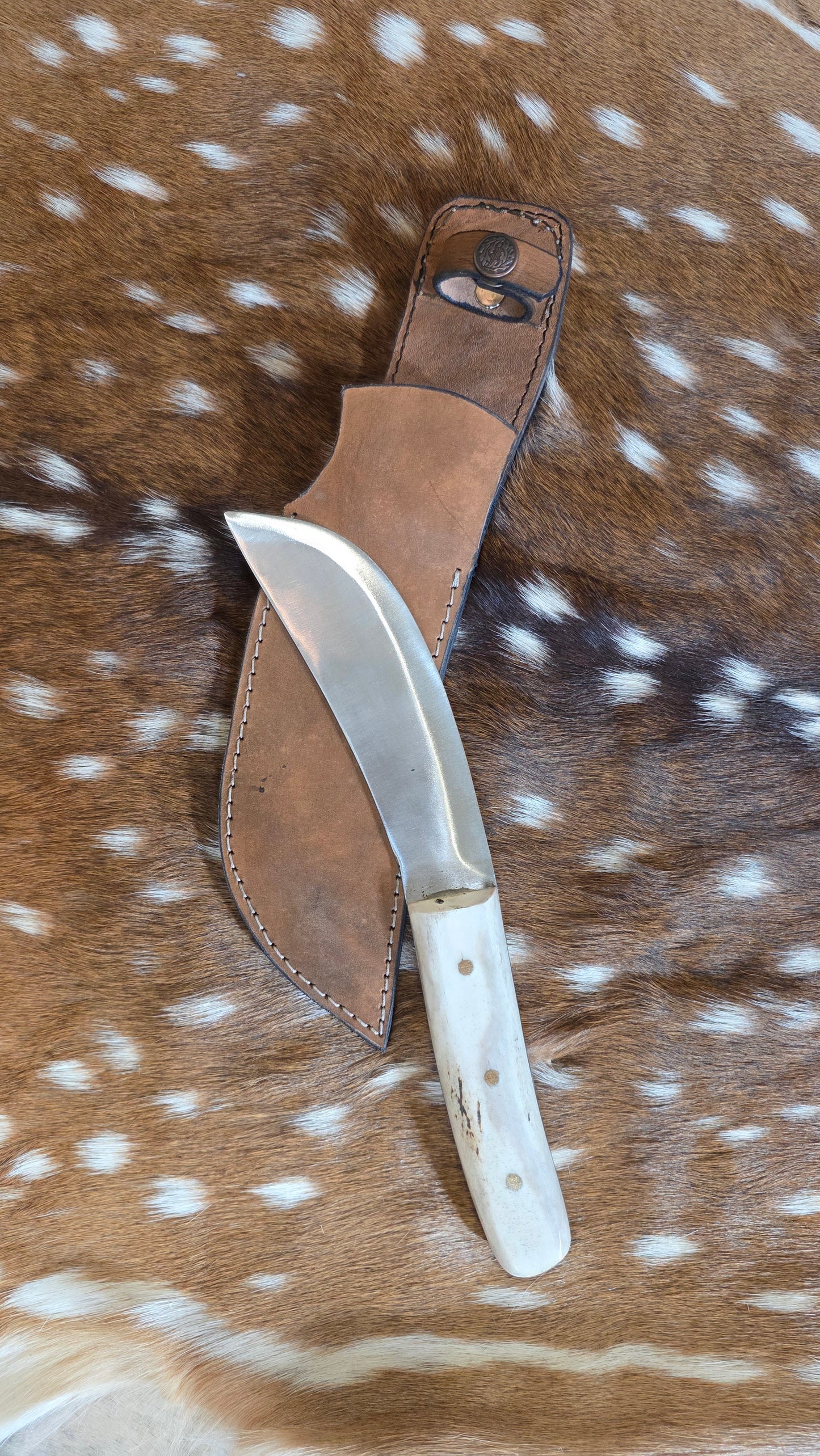 Traditional Skinner deer antler