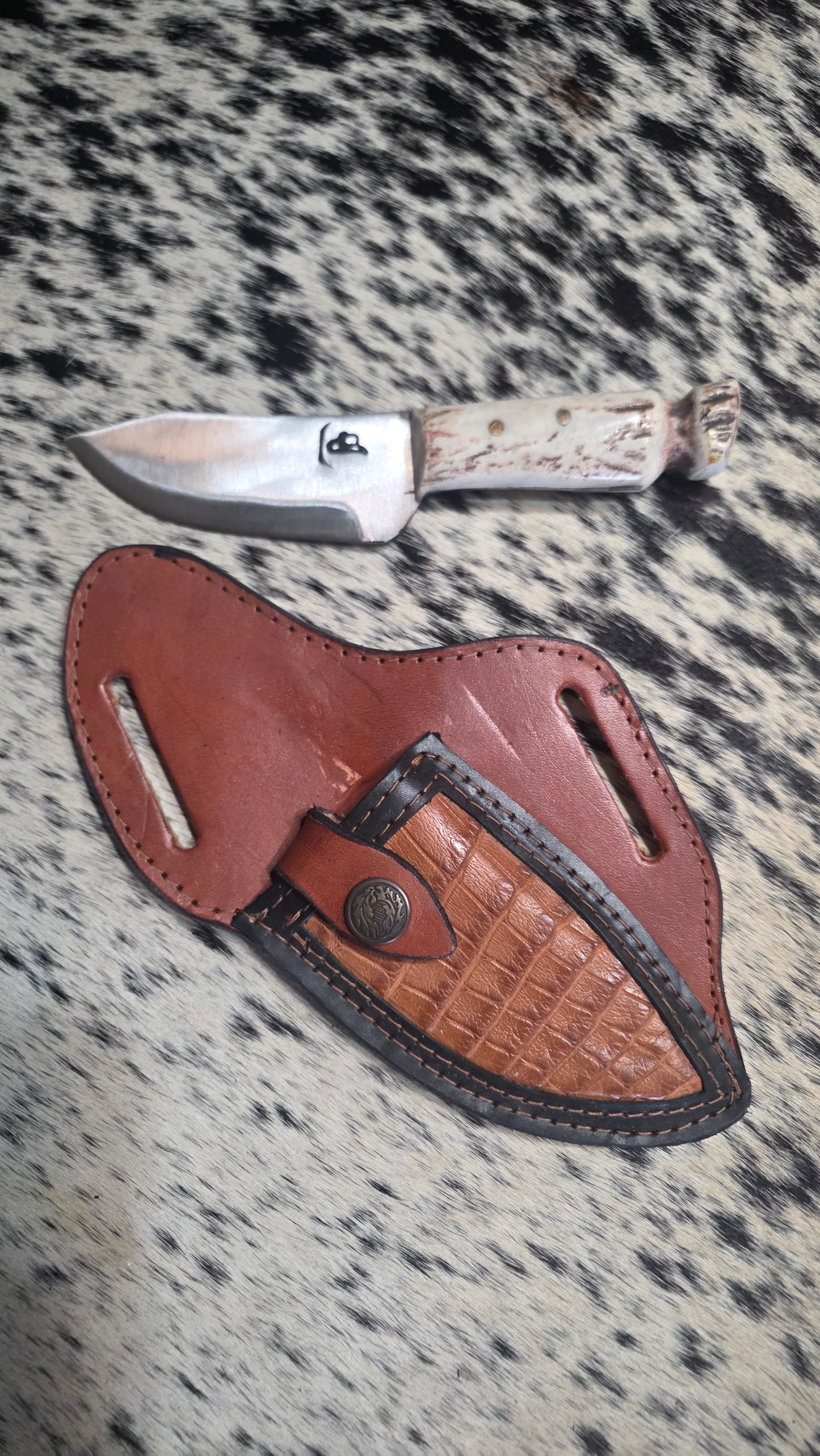 Bandit Colt