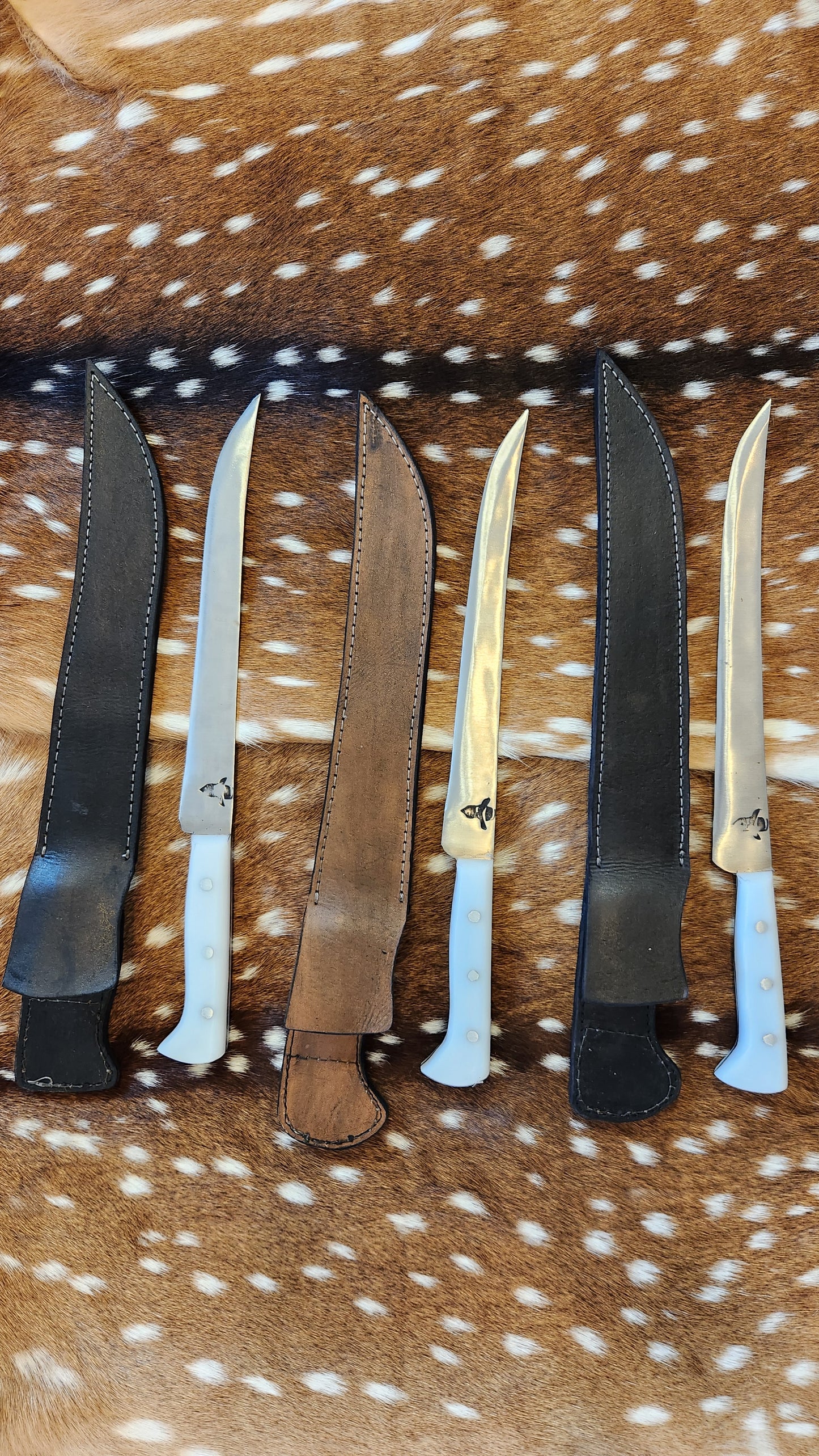 10" Fileting Knife