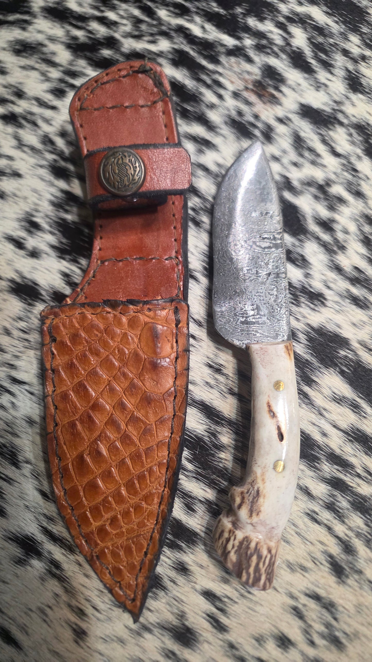 Bandit Colt